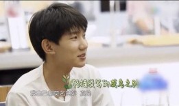 吃瓜娱乐王源完整版,揭秘明星幕后趣事