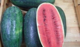 娱乐吃瓜酱山东哪里的,探寻娱乐吃瓜酱的美食之源