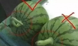 如何制作娱乐圈吃瓜素材,如何轻松制作热门吃瓜素材