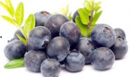 娱乐吃瓜酱蓝莓,吃瓜酱带你领略明星幕后故事