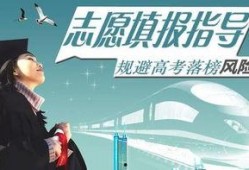 娱乐吃瓜君全球高考,揭秘娱乐界的“吃瓜”盛宴