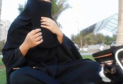 娱乐吃瓜君网红是谁,网红背后的故事与影响力