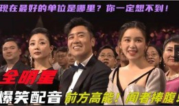 娱乐吃瓜视频用哪样配音,揭秘热门视频背后的配音秘密