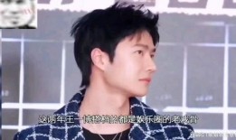 娱乐综艺吃瓜儿小说,吃瓜小说里的娱乐圈秘闻