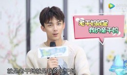 娱乐吃瓜吴磊,揭秘明星背后的故事